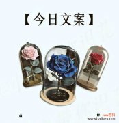 人和花的寓意是什么？如何解读人与花之间的象征意义？