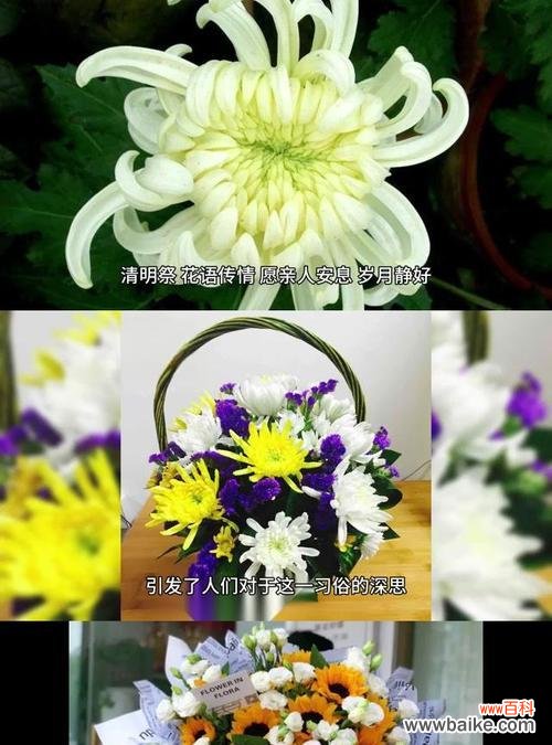 清明节送花的寓意是什么？为什么要送特定的花？
