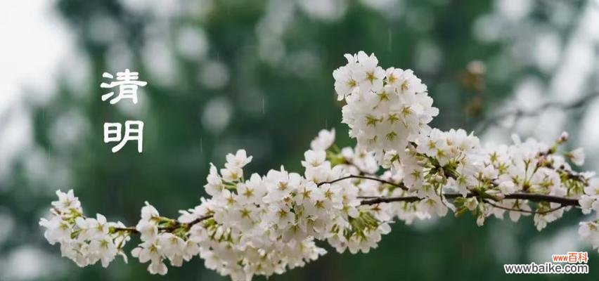 清明面花的寓意和象征是什么?如何制作具有传统意义的面花?