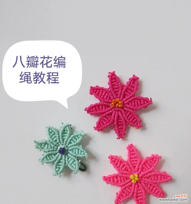 八瓣花象征什么含义?八瓣花的寓意有哪些?