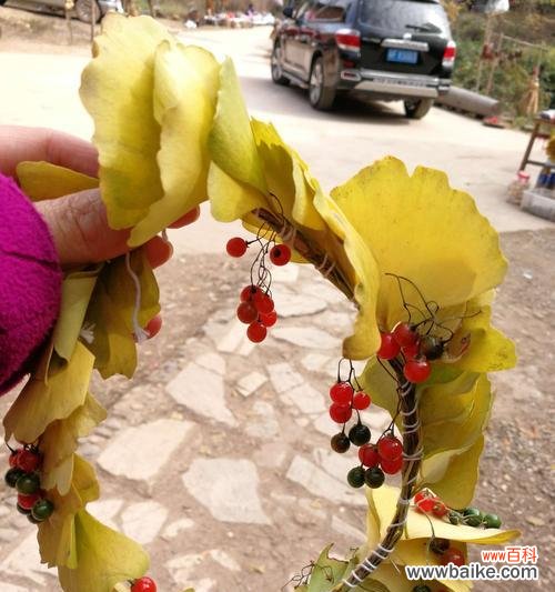 探究银杏树叶所代表的深层寓意 银杏树叶的象征意义