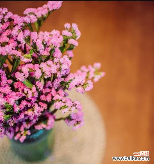 浓情厚谊 勿忘我，花开永恒的爱