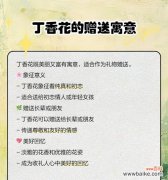 丁香花的花语是什么？了解丁香花代表的含义和象征意义？