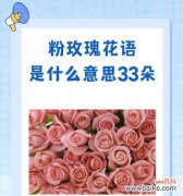 将离花语代表什么含义？如何正确理解将离的花语？