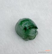 盘花乌龟的寓意象征是什么？盘花乌龟代表了哪些文化意义？