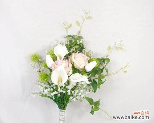 结婚的马蹄花寓意什么？马蹄花在婚礼中的象征意义是什么？