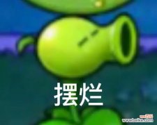 豌豆花恶搞花语是什么？如何解读这种幽默的花语含义？