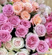 揭开邪恶植物的面纱——恐怖、致命和禁忌的自然创造 邪恶之花