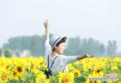 以象征阳光向上的植物为主题的植物界英雄们 阳光向上，绿色之魂