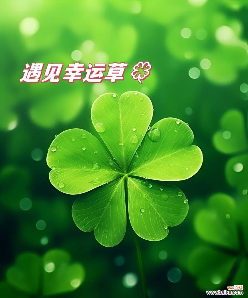 草花的寓意和象征是什么?如何解读草花在不同文化中的意义?