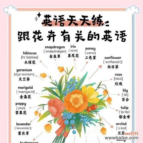 英国四个部分的象征花分别是什么？各代表了什么意义？