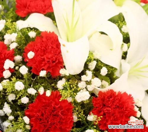 19朵香槟玫瑰代表什么含义？花语有哪些常见误解？