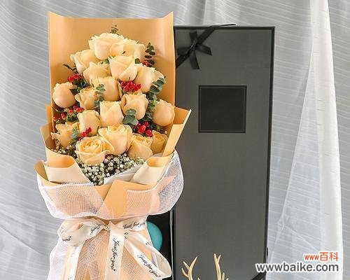 19朵香槟玫瑰代表什么含义？花语有哪些常见误解？