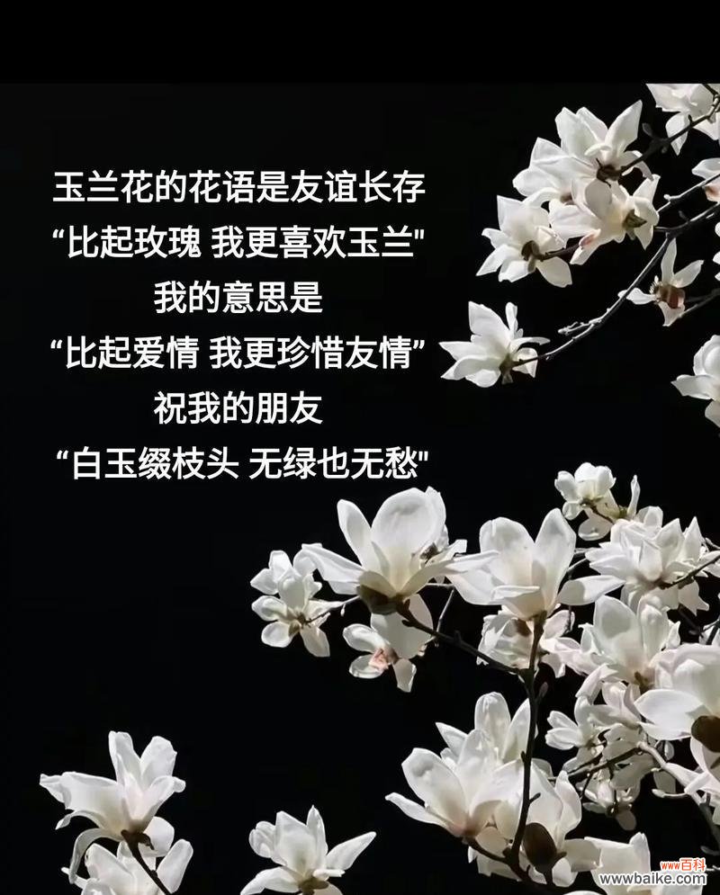 失去朋友的花语代表什么?如何用花语表达失去朋友的情感?