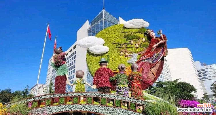 国庆节象征性的花是什么花？为什么它代表了国庆节？