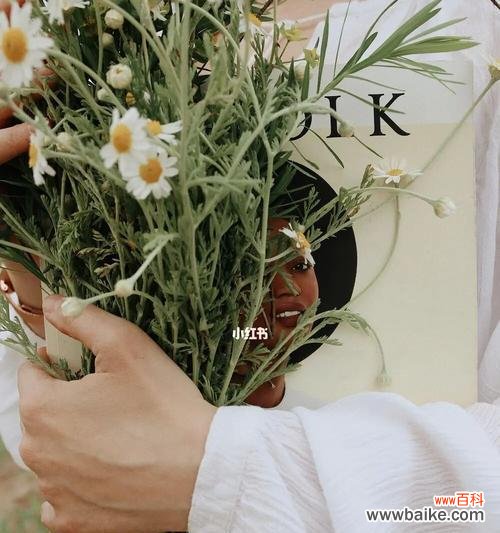 探索自律的植物世界,激励自己追求成长 以象征自律的植物为主题的文章