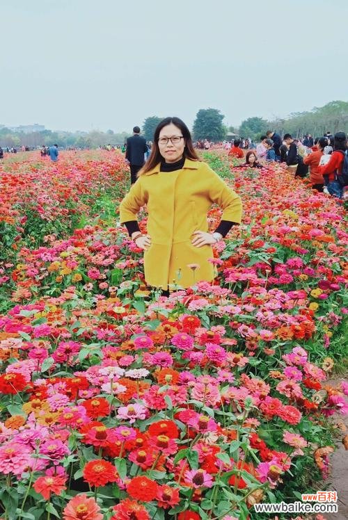 探索自律的植物世界,激励自己追求成长 以象征自律的植物为主题的文章