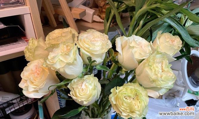 探索爱情中的生命力与坚定——以植物为象征的爱情之美 爱情的花园