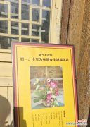 什么花语代表祈福呢？祈福之花有哪些？