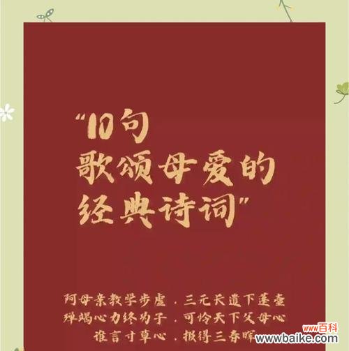 赞扬母爱的花语是什么?哪种花最能表达对母亲的敬爱?