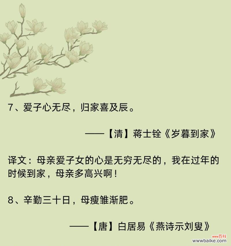 赞扬母爱的花语是什么?哪种花最能表达对母亲的敬爱?