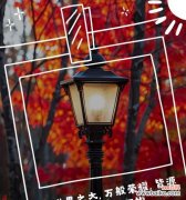 赞扬母爱的花语是什么？哪种花最能表达对母亲的敬爱？