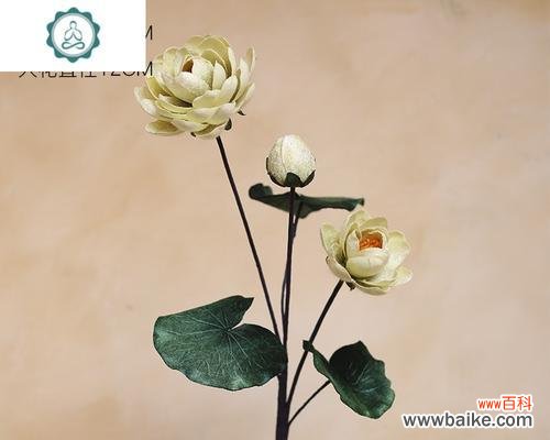 寻找内心宁静的生命密码 禅意之美