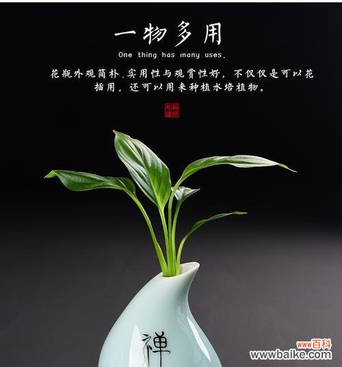 寻找内心宁静的生命密码 禅意之美