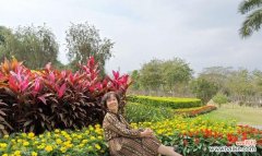 以植物为象征的自由与宁静 自由自在的植物世界