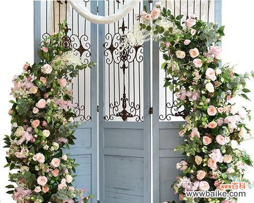 圆弧花的寓意是什么?如何正确解读圆弧花的象征意义?