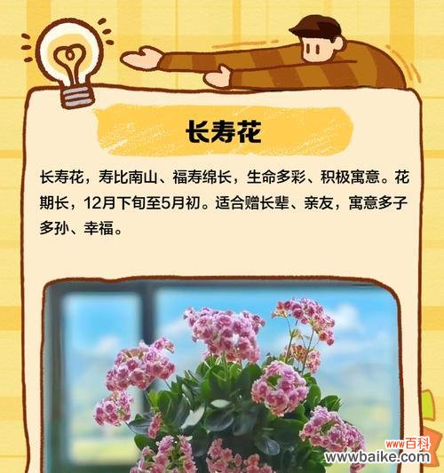 寿宴杯花的寓意和象征是什么？如何挑选寓意吉祥的杯花？