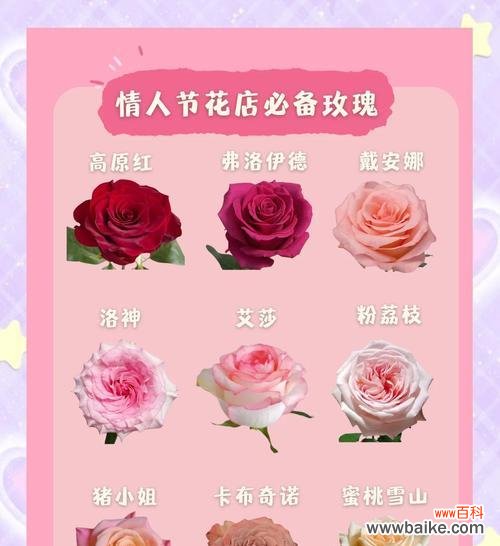 玫瑰手链代表什么含义?花语解读与选购指南?