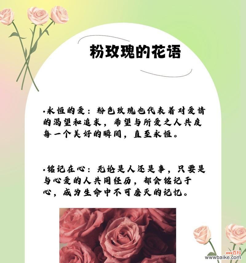 玫瑰手链代表什么含义?花语解读与选购指南?