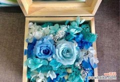 让花语的魅力永恒延续，永生花是选择 探寻永生花的花语与花语故事