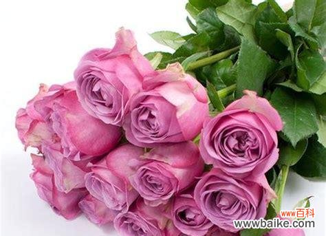 以仙人掌花语展示的勇气 仙人掌花语