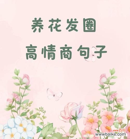 三盆花的寓意和花语是什么？如何正确解读？