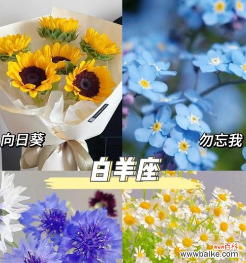 本命花的寓意是什么?如何挑选代表自己生肖的花卉?