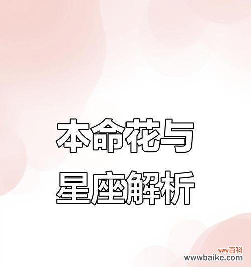 本命花的寓意是什么?如何挑选代表自己生肖的花卉?
