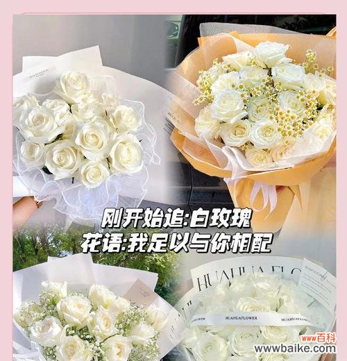 韩国象征恋爱感情的花是什么?