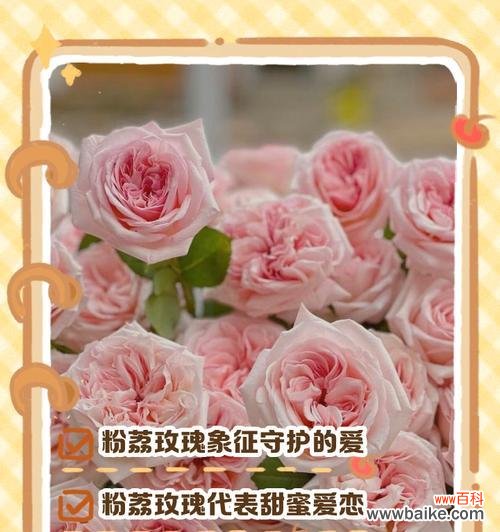 送弟弟荔枝花语是什么?荔枝的花语有哪些含义?