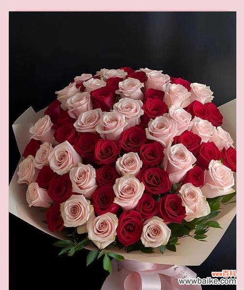 104朵花代表什么含义？花语解释与常见问题解答？