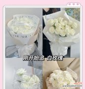 韩国象征恋爱的爱情花是什么？