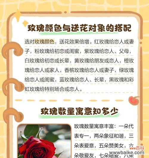 粉玫瑰代表什么情感?粉玫瑰花语的含义是什么?