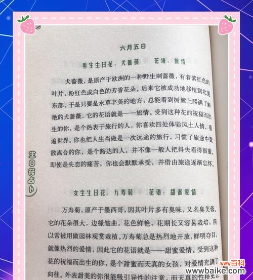 重拾甜蜜花语是什么?如何用花语表达爱意?