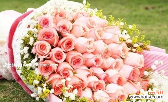 探索郁金香的神秘象征意义 郁金香花语与寓意