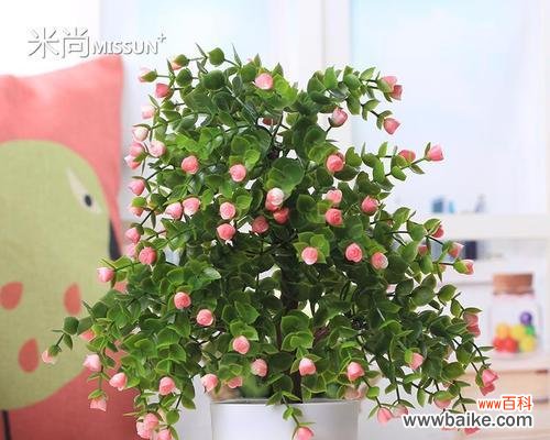 以盆景树为媒介,传递幸福与希望的意象 寓意好的盆景树——生活中的美好象征