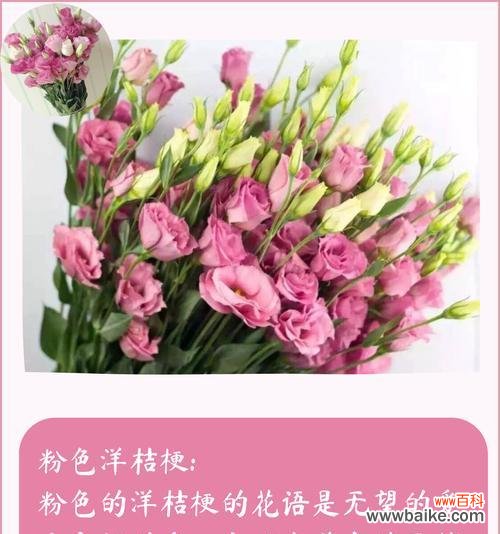 从花卉语言角度解读香槟洋桔梗的意义 香槟洋桔梗花语-祝福与庆祝的象征