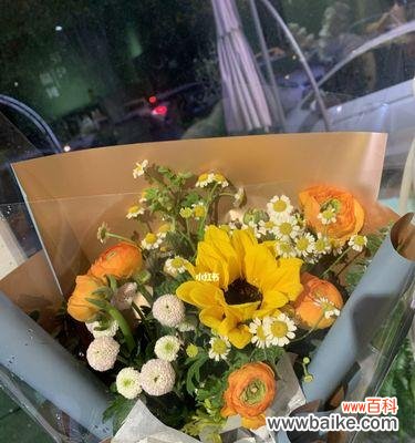 以几朵向日葵表达的情感和愿望 向日葵的花语与寓意