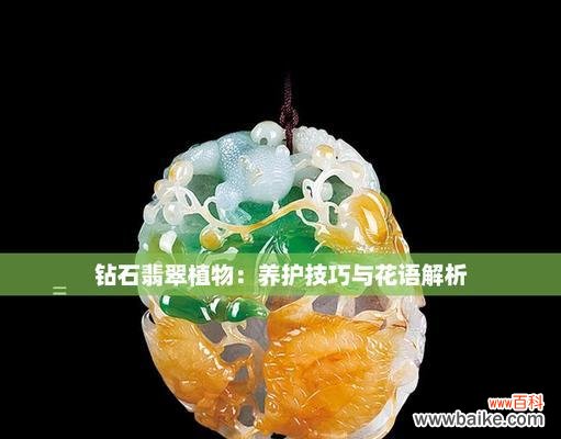 翡翠发财花语是什么?如何解读翡翠发财的深层含义?