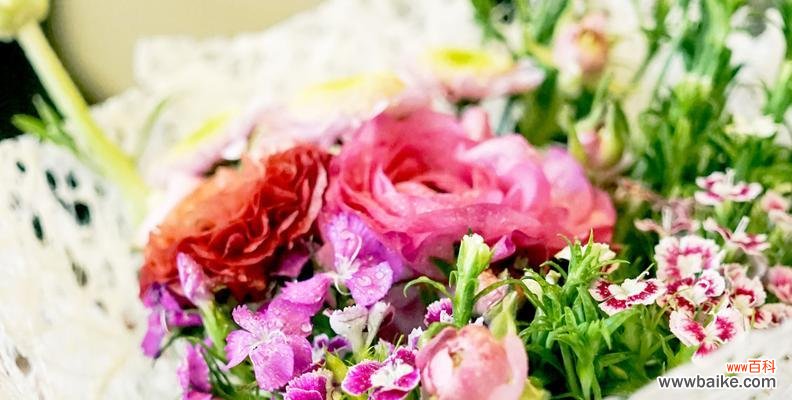 探索友谊花语的奥秘，让友谊更加绚丽多彩 五种花代表友谊，你知道吗？